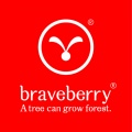 Braveberrylogo.jpg